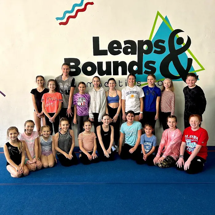 Leaps & Bounds Gymnastics Company Picture 6