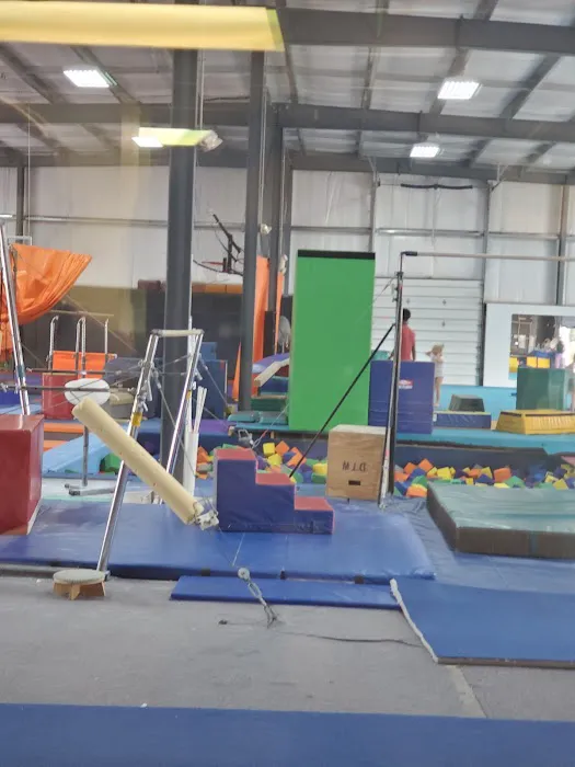 Gym Skills Picture 6