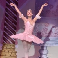 Chesapeake Ballet Company ico