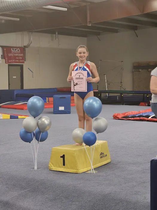 Southern Michigan Gymnastics, LLC Picture 2
