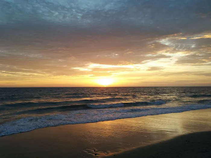 Rise Vineyard Performing Arts Picture 1