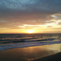 Rise Vineyard Performing Arts ico