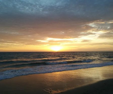 Rise Vineyard Performing Arts