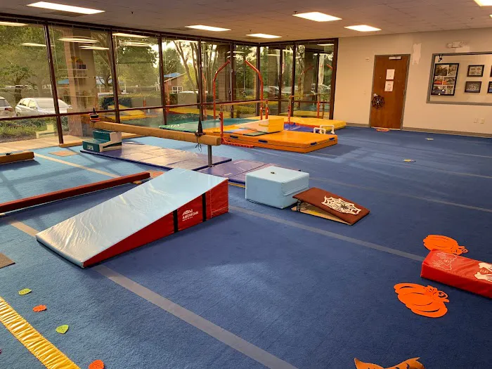 Gymnastics World of Georgia Picture 5