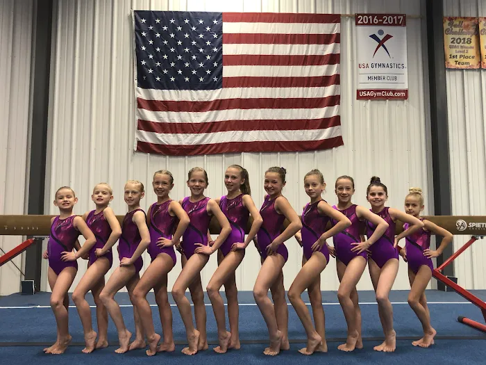 All Around Academy of Gymnastics Picture 1