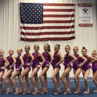 All Around Academy of Gymnastics ico
