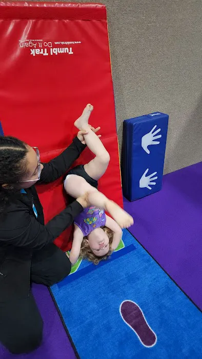 World Class Gymnastics Picture 4