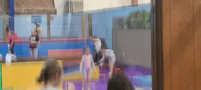 World Class Gymnastics Picture 5