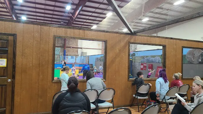 World Class Gymnastics Picture 6