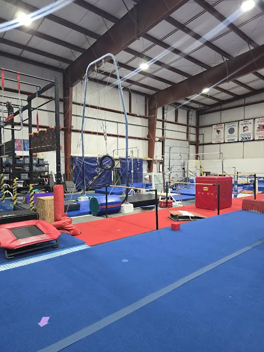 World Class Gymnastics Picture 7