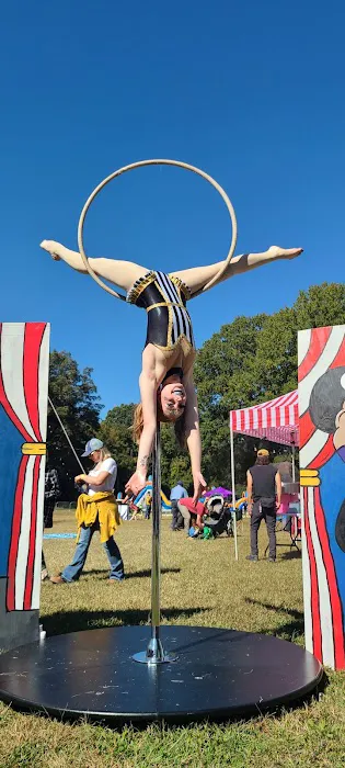 Aerial Arts Picture 4