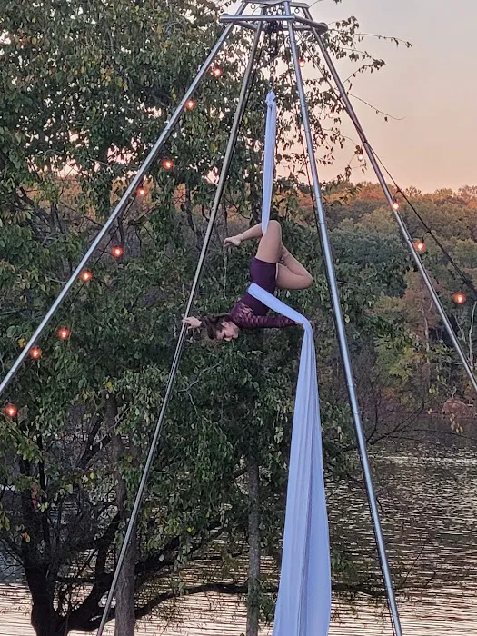 Aerial Arts Picture 10