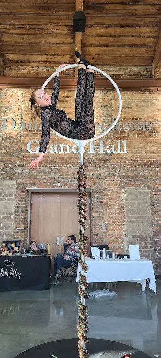 Aerial Arts Picture 7