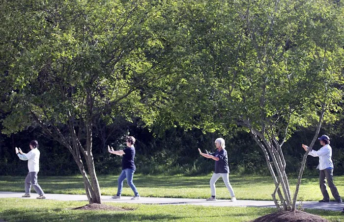 In Balance Tai Chi Picture 2