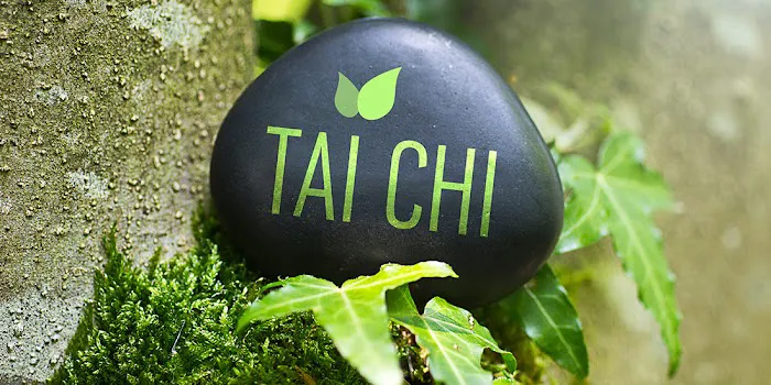 In Balance Tai Chi Picture 3