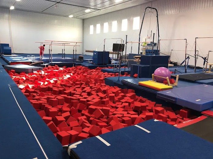 Rochester Gymnastics Academy Picture 1