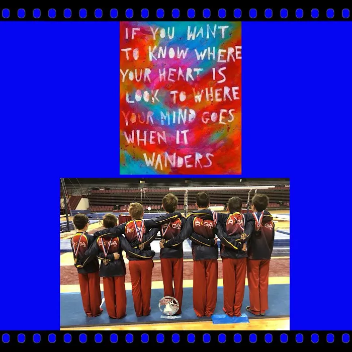 Rochester Gymnastics Academy Picture 10