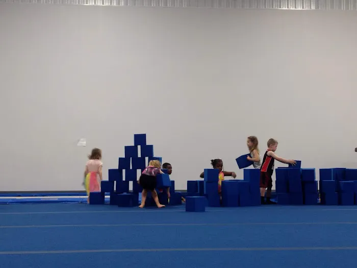 Rochester Gymnastics Academy Picture 9