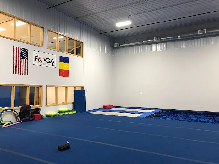 Rochester Gymnastics Academy Picture 8