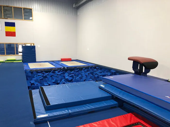 Rochester Gymnastics Academy Picture 3