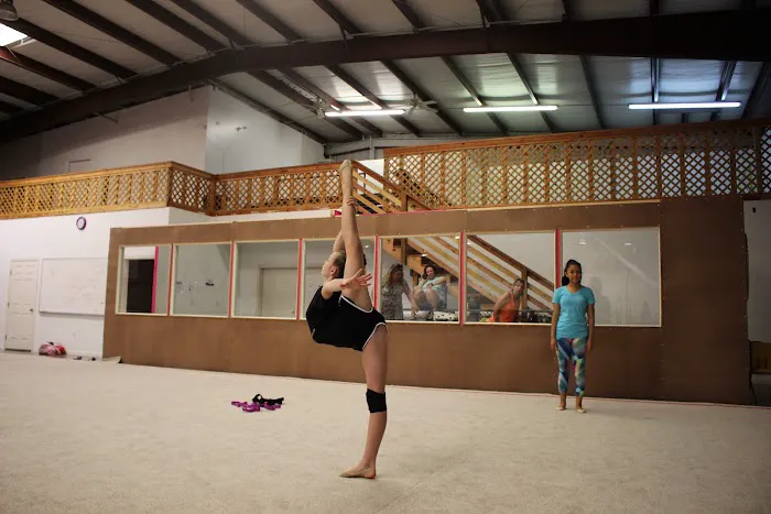 DSA Artistic Rhythmic Gymnastics Picture 5