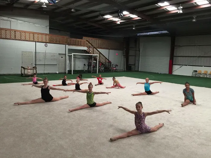 DSA Artistic Rhythmic Gymnastics Picture 1