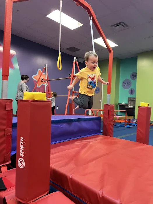 The Little Gym of Flower Mound, Texas Picture 2