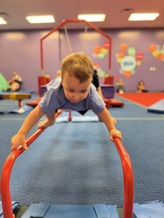 The Little Gym of Flower Mound, Texas Picture 4