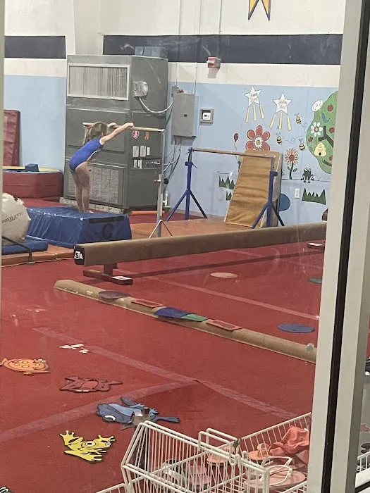 United Gymnastics Academy - Oviedo Picture 2