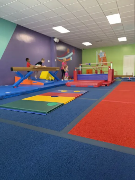 The Little Gym of Naperville Picture 4