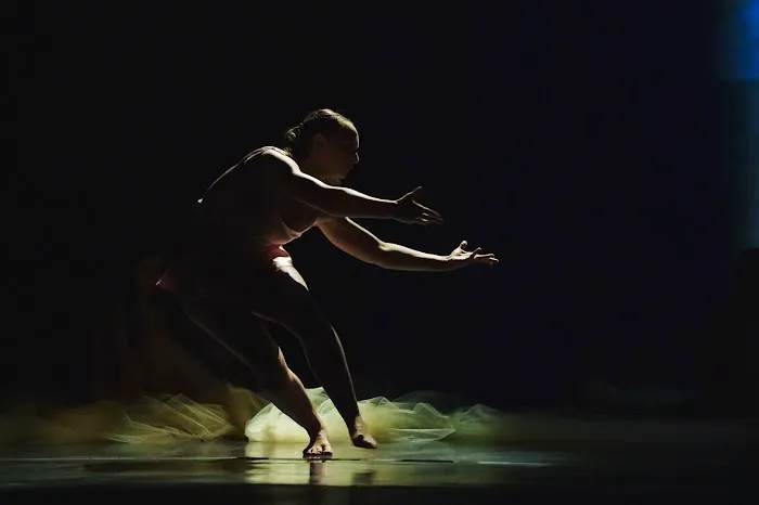 USF College of Design, Art & Performance Picture 6