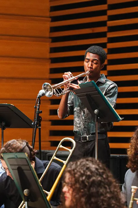 USF College of Design, Art & Performance Picture 1