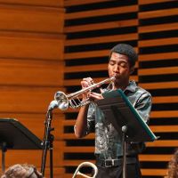 USF College of Design, Art & Performance ico