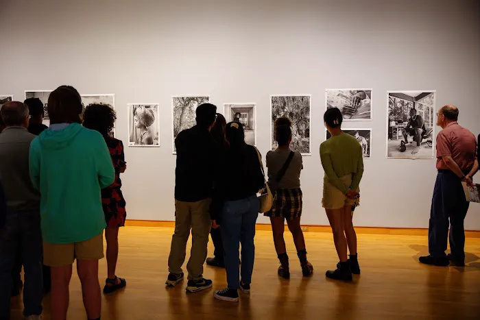 USF College of Design, Art & Performance Picture 2