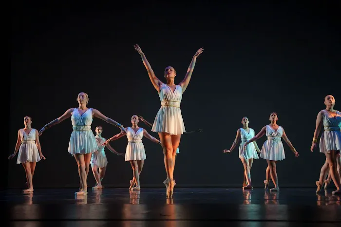 USF College of Design, Art & Performance Picture 9