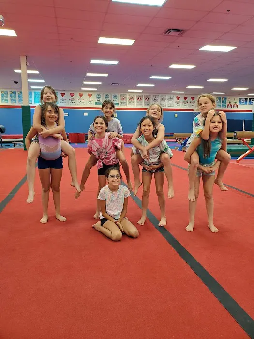 Twist'N Flip Gymnastics Picture 9