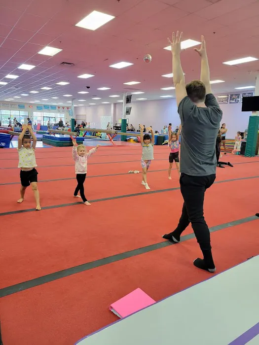 Twist'N Flip Gymnastics Picture 1