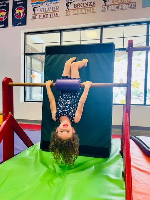 Twist'N Flip Gymnastics Picture 10