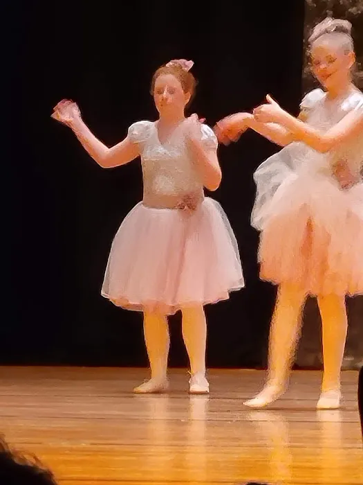 JaDuke Center-Performing Arts Picture 10