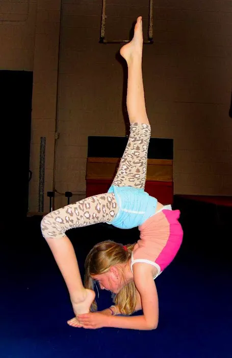 Kinetic Arts Center Picture 7