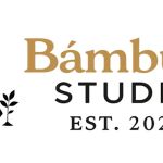 Bambula Studio LLC