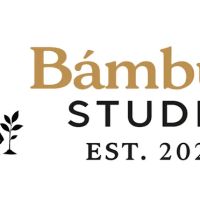 Bambula Studio LLC ico