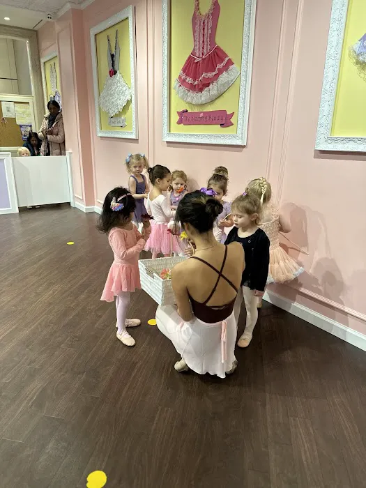 Tutu School Lenox Hill Picture 7