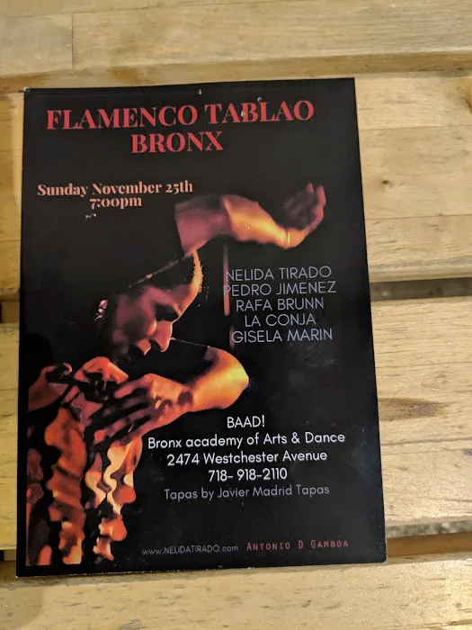 BAAD! Bronx Academy of Arts and Dance Picture 10