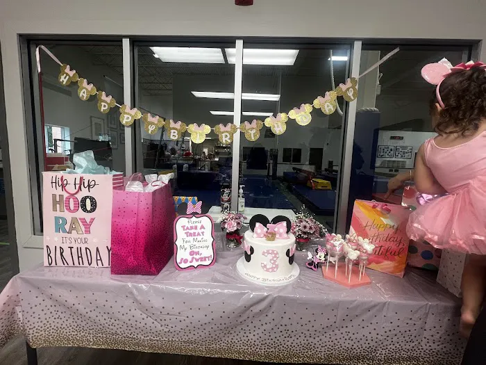 Gymnastics World of Georgia Picture 7