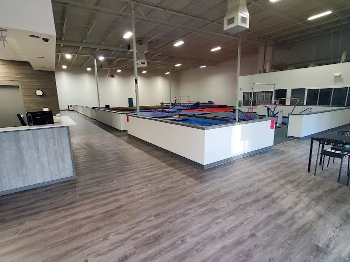 Gymnastics World of Georgia Picture 4