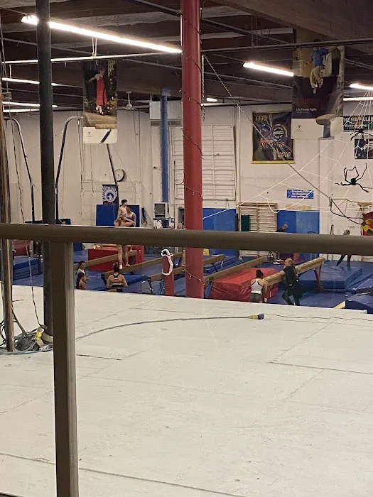 Metro Gymnastics Center Picture 1