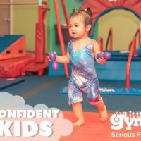 The Little Gym of Highland Heights ico