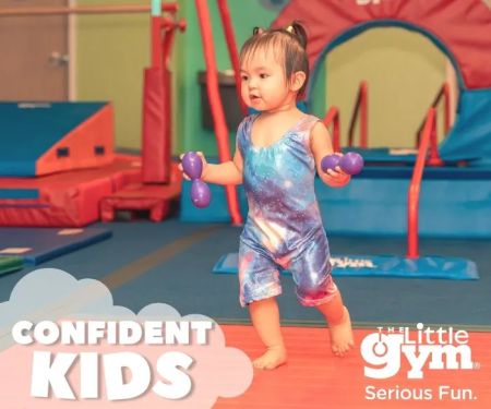 The Little Gym of Highland Heights
