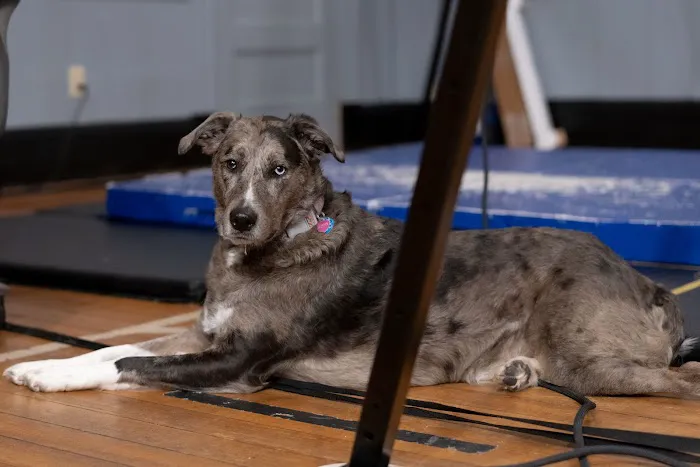 InFlyte Entertainment Picture 7